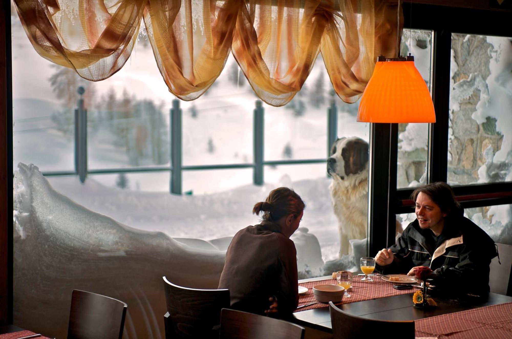Re Delle Alpi Resort&Spa La Thuile Esterno foto